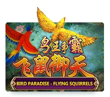 Bird Paradise